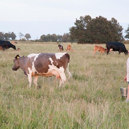 Agroturystyka Lolkowo Srokowo Buitenkant foto