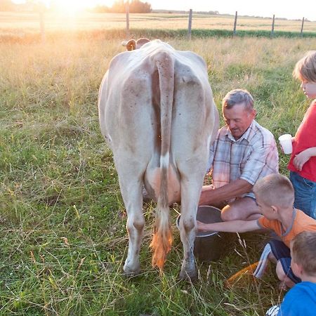 Agroturystyka Lolkowo Srokowo Buitenkant foto