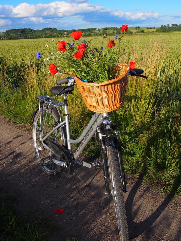 Agroturystyka Lolkowo Srokowo Buitenkant foto
