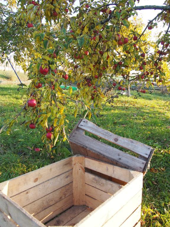 Agroturystyka Lolkowo Srokowo Buitenkant foto
