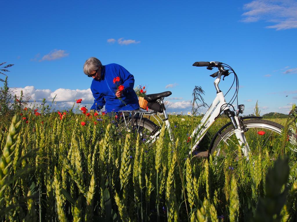Agroturystyka Lolkowo Srokowo Buitenkant foto