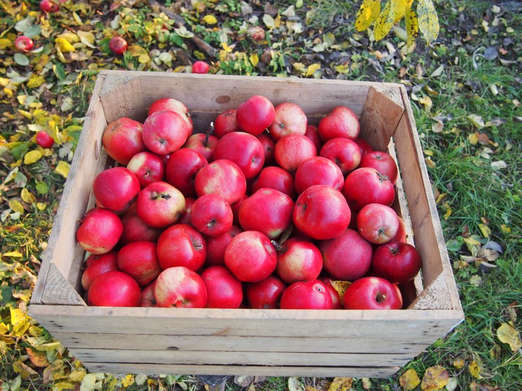 Agroturystyka Lolkowo Srokowo Buitenkant foto