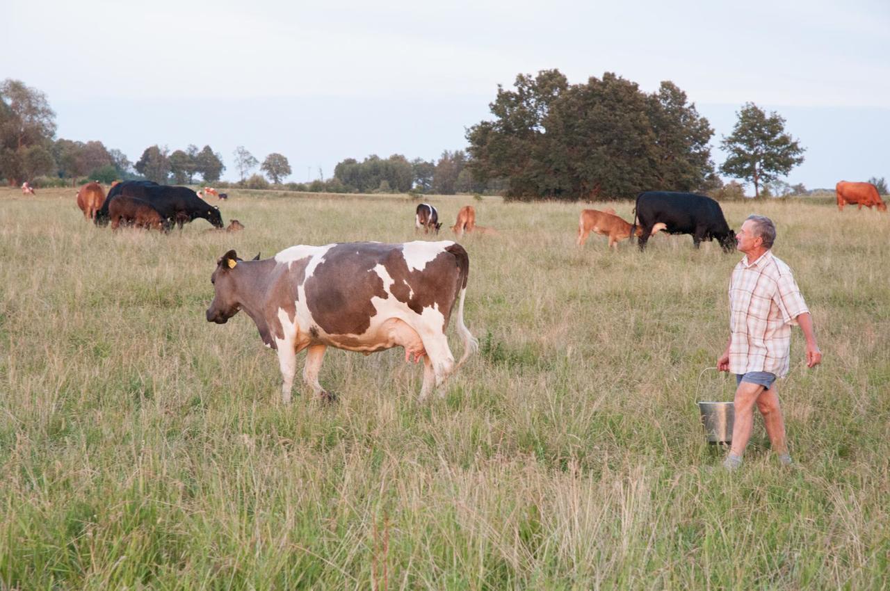 Agroturystyka Lolkowo Srokowo Buitenkant foto