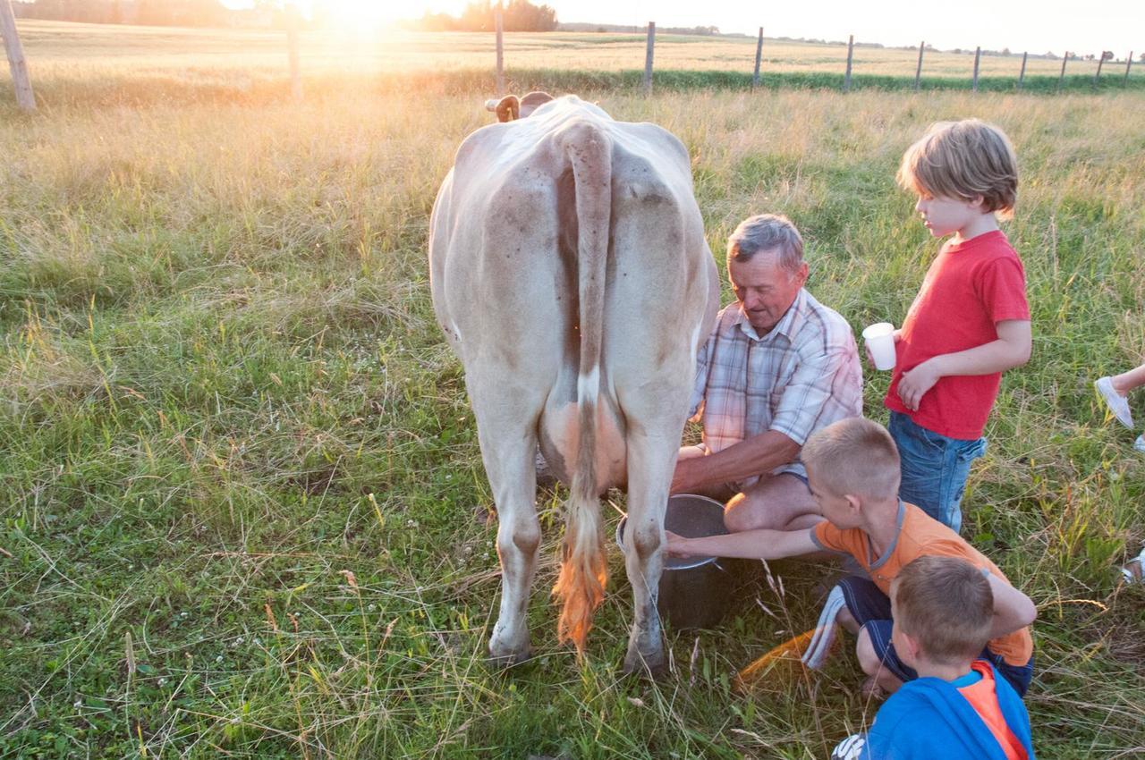 Agroturystyka Lolkowo Srokowo Buitenkant foto